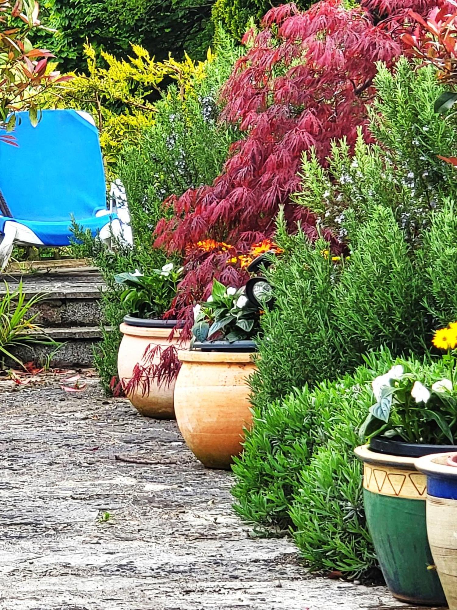 Escape The Ordinary - Piddle Inn The Home Private Self Cater Holiday Dorchester Exteriér fotografie